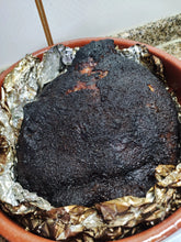 Carregar imagem no visualizador da galeria, Madeira para defumação - Cerejeira e Pessegueiro - secretflavor